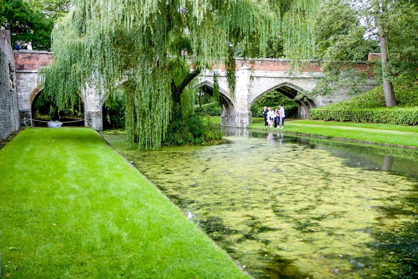 Picture 5 for Activity London: Entry Ticket to Eltham Palace and Gardens
