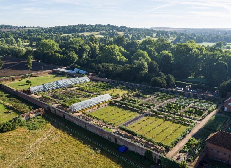 Picture 6 for Activity Saffron Walden: Audley End House and Gardens Ticket