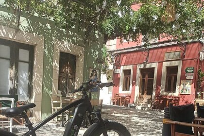 Ecobike-Knossos Palace-Wine tasting-Olive oil tasting