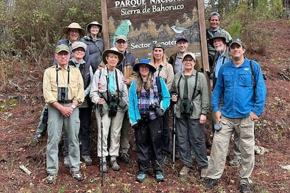 6-Day Bird Watching Tour in the Sierra de Bahoruco