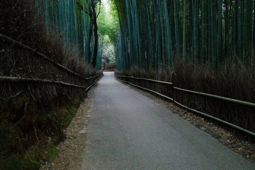 Historical Kyoto Bike Tour 