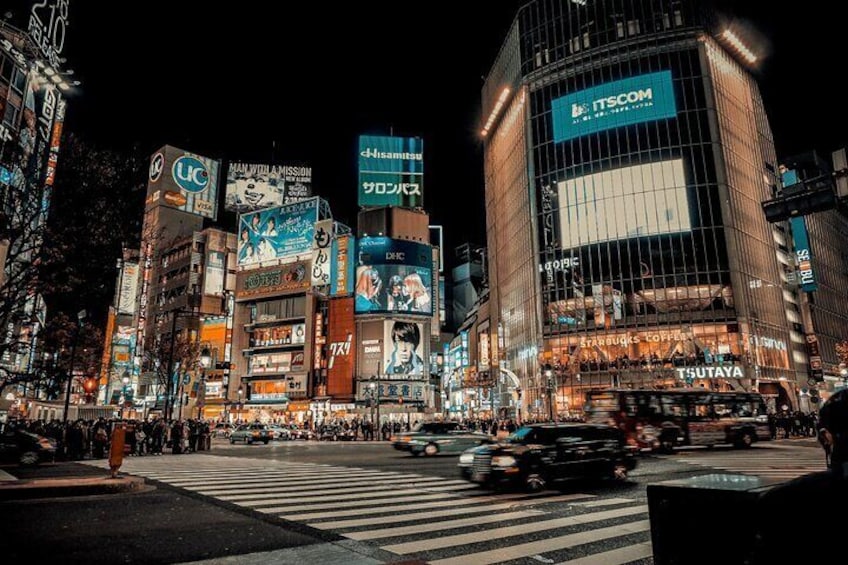 Private A Bespoke Layover Experience Tour in Tokyo by Car