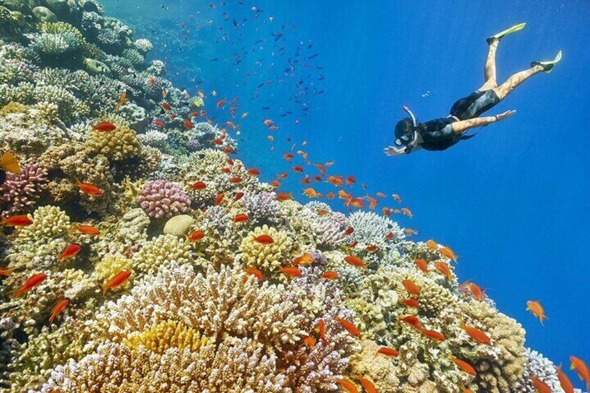 Makadi Bay: Panorama Semi Submarine with All Fees Included