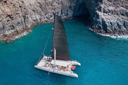 Luxury Catamaran Cruise with Brunch and Unlimited Drinks