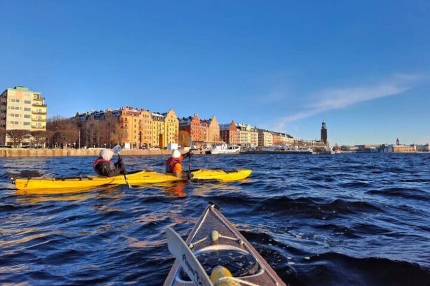 Winter Kayak Tour in Stockholm City (Dry Suit Kayaking)