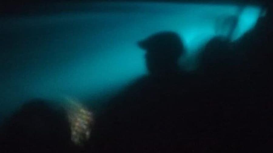Bioluminescence swim with stars