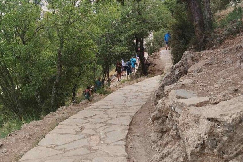 Full Day Tour in Lasithi Plateau and Zeus Cave