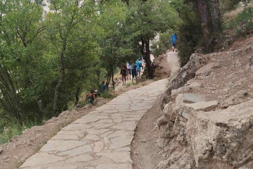 Full Day Tour in Lasithi Plateau and Zeus Cave