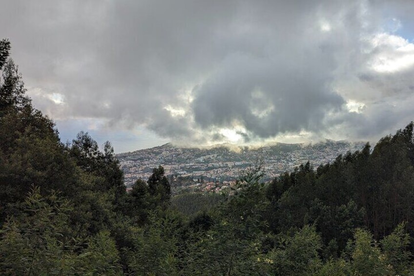 View of Funchal from Natural Reserve