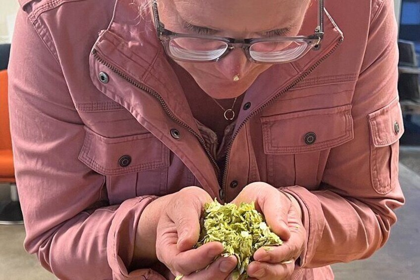Brewer selecting hops