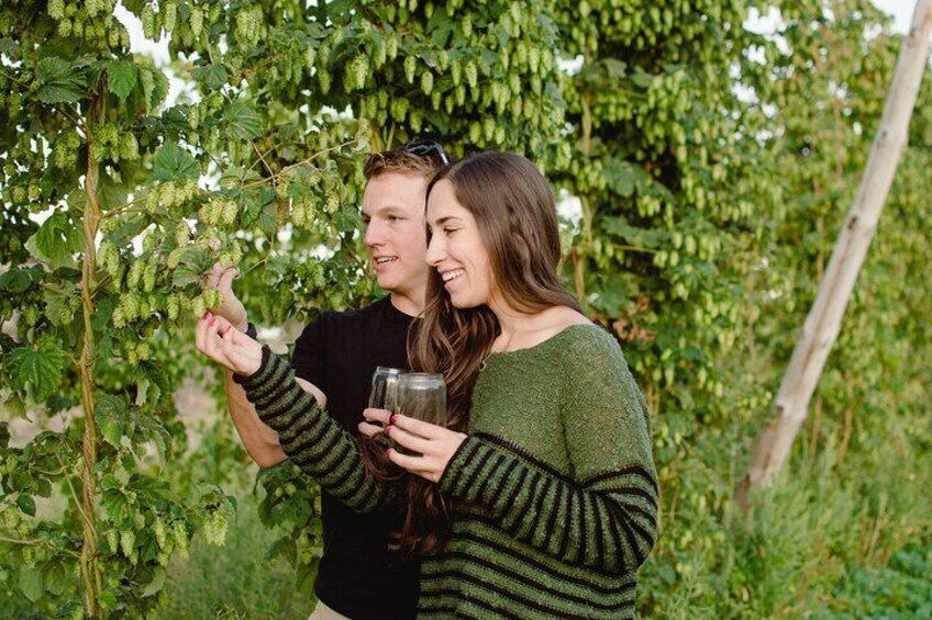 Yakima Valley Hop Farm & Beer Sensory Tour