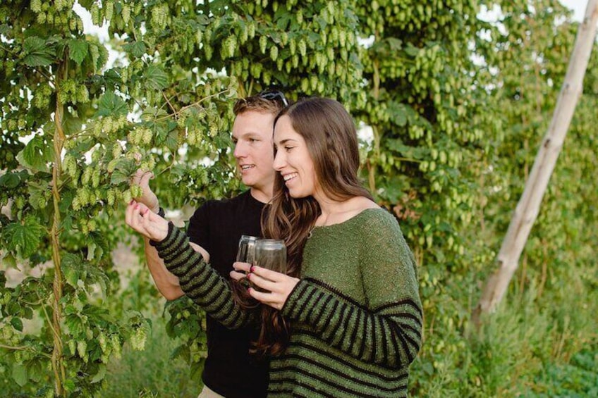 Yakima Valley Hop Farm & Beer Sensory Tour