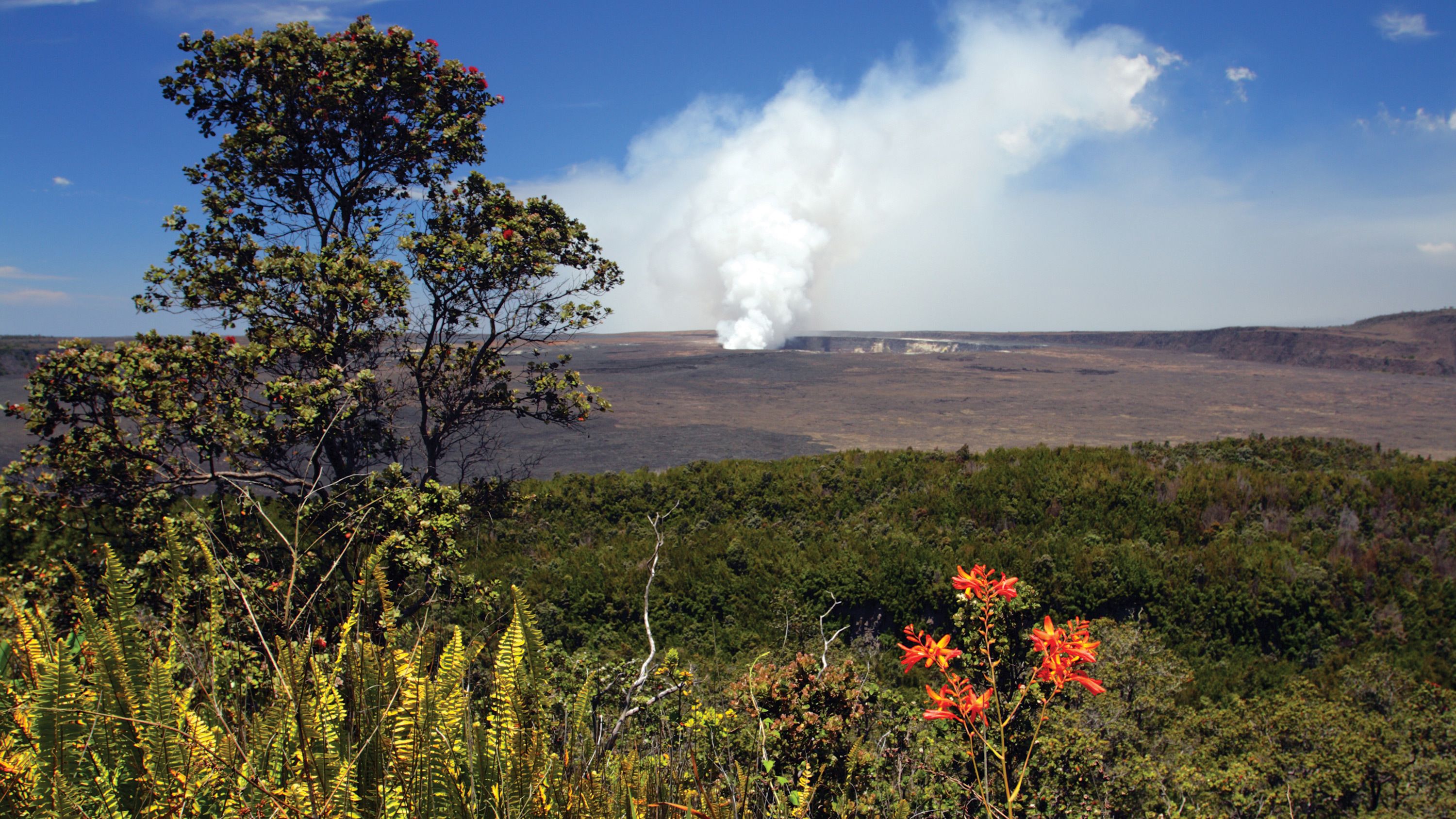 Big Island Helicopter And Volcano Sightseeing Tour From Oahu