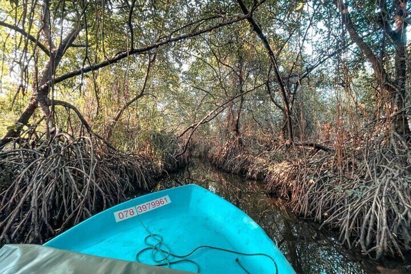 Madu River Boat Safari