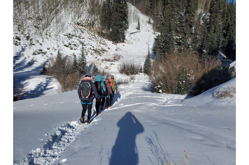 Learn to Ice Climb! Guided Tours with Lessons for All Abilities