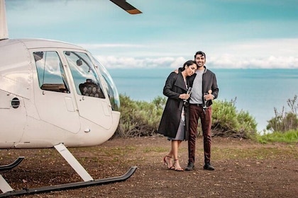 greystone mansion tour tickets Los Angeles: Malibu Mountain Top Landing Private Helicopter Tour