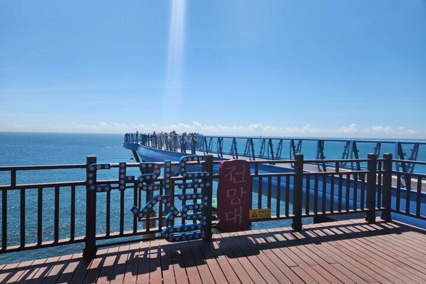 Busan One Day Private Tour