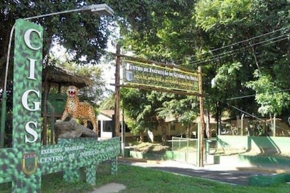 Private Tours at Cigs Zoo + Science Forest in Manaus