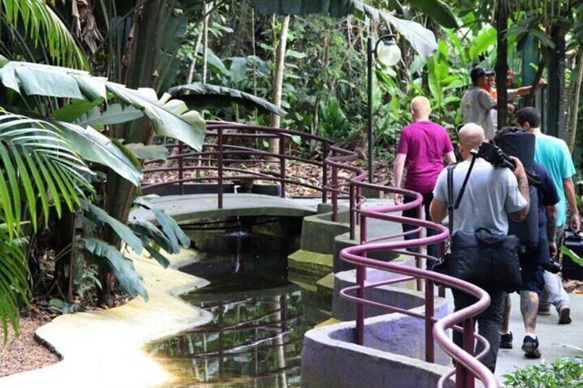 Private Sightseeing Tour at Cigs Zoo + Bosque da Ciência