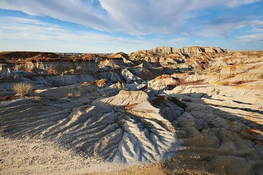 Full Day Tour in Drumheller: Horseshoe Canyon and Tyrrell Museum