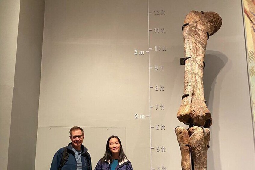 Full Day Tour in Drumheller: Horseshoe Canyon and Tyrrell Museum