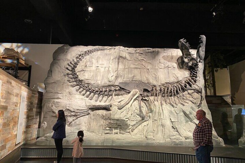 Full Day Tour in Drumheller: Horseshoe Canyon and Tyrrell Museum