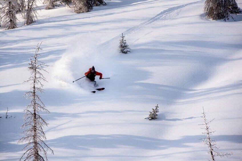 ADVANCED skiers: Guided Tour of Colorado's Backcountry