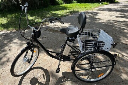 Experience Wild Florida Nature Up Close on Electric Trike (2 hrs)