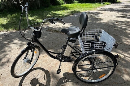 2-hr. Kissimmee Lakefront Tour on a DELUXE Fully Electric Trike