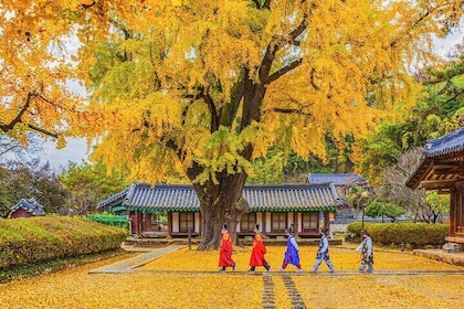 Fulddagstur til Jeonju Hanok Village: Jangtaesan efterår folie