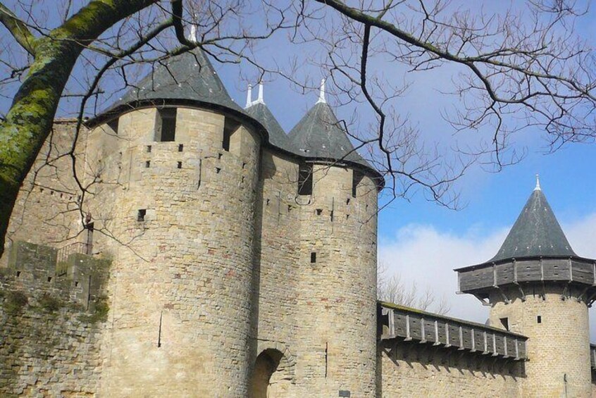 The Count's Castle