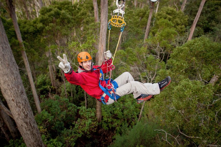 Launceston: Hollybank Forest Treetop Zip Lining with Guide