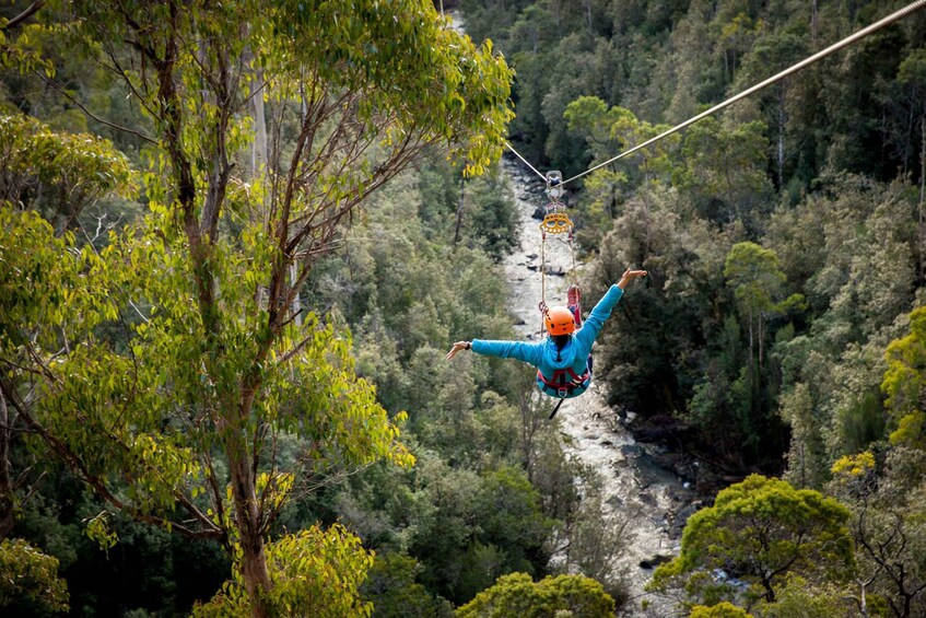 Picture 1 for Activity Launceston: Hollybank Forest Treetop Zip Lining with Guide