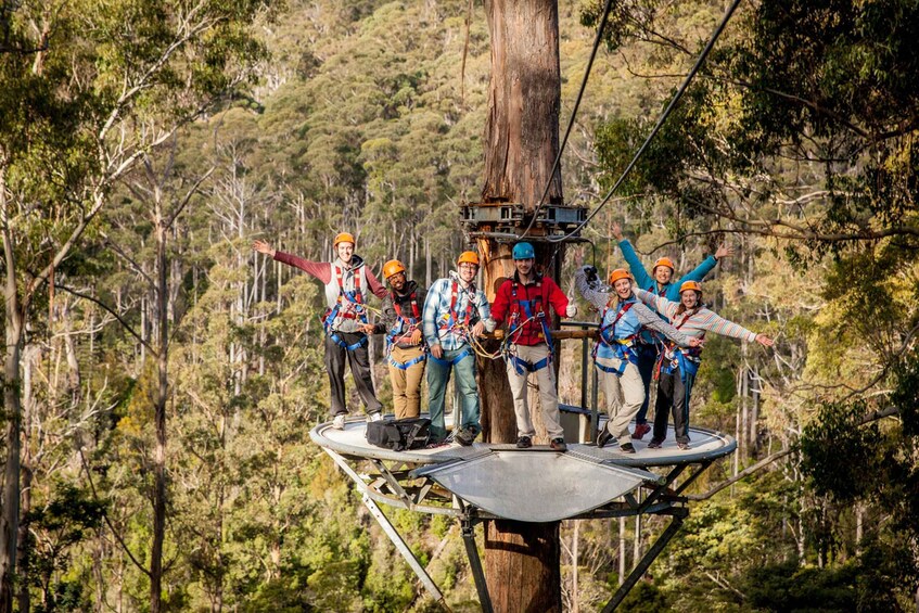 Picture 3 for Activity Launceston: Hollybank Forest Treetop Zip Lining with Guide