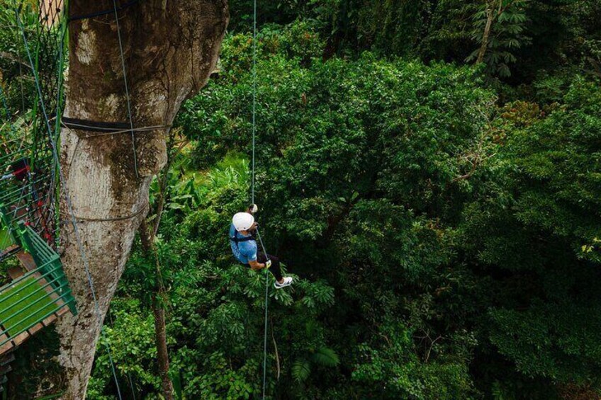 Tree Climbing Experience with Zipline and Rope Descent