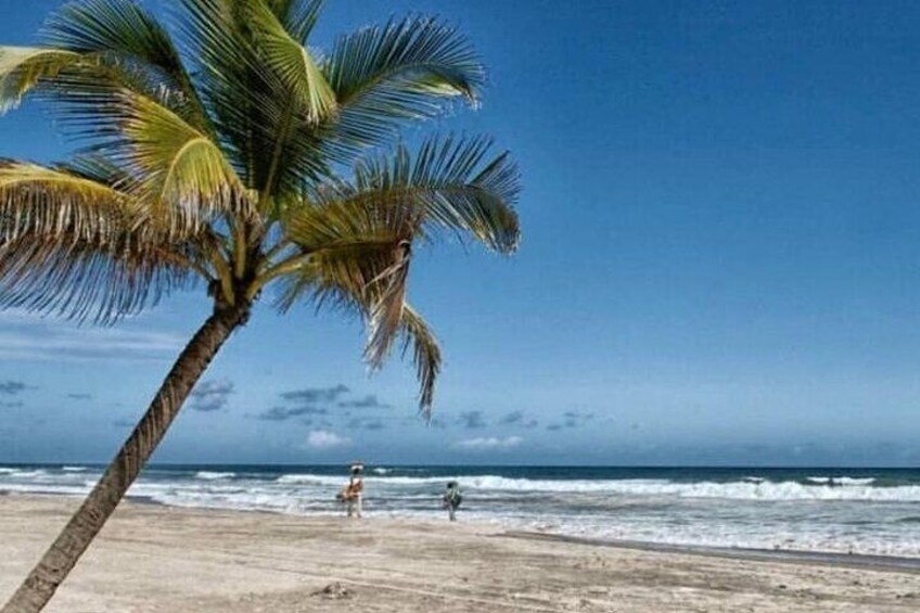 The pristine beach of Assinie, in the south-east of the Ivory Coast