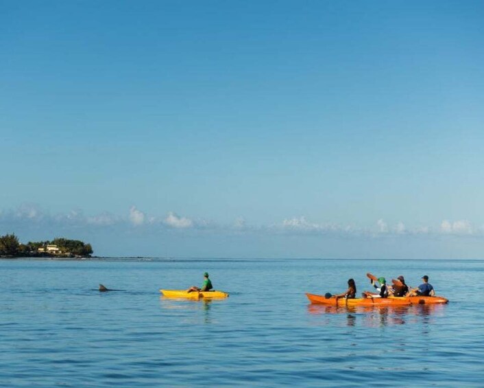 Picture 2 for Activity Tamarin: Guided Kayak Tour with Dolphins