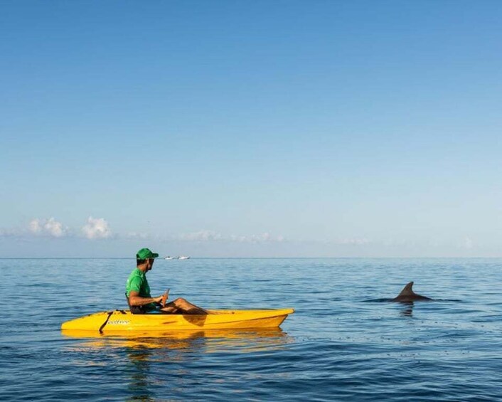 Picture 1 for Activity Tamarin: Guided Kayak Tour with Dolphins