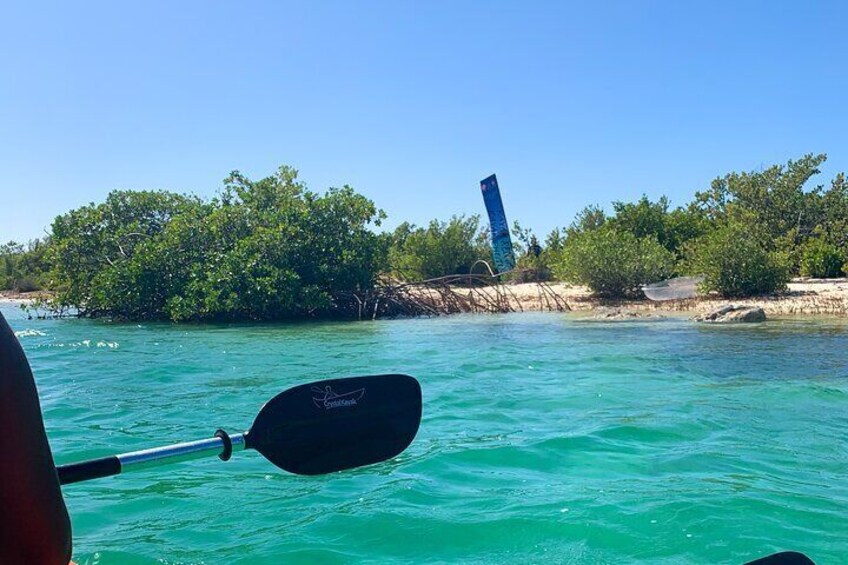  Kayak Mangrove Tours Grand Turk , Carnival Cruise