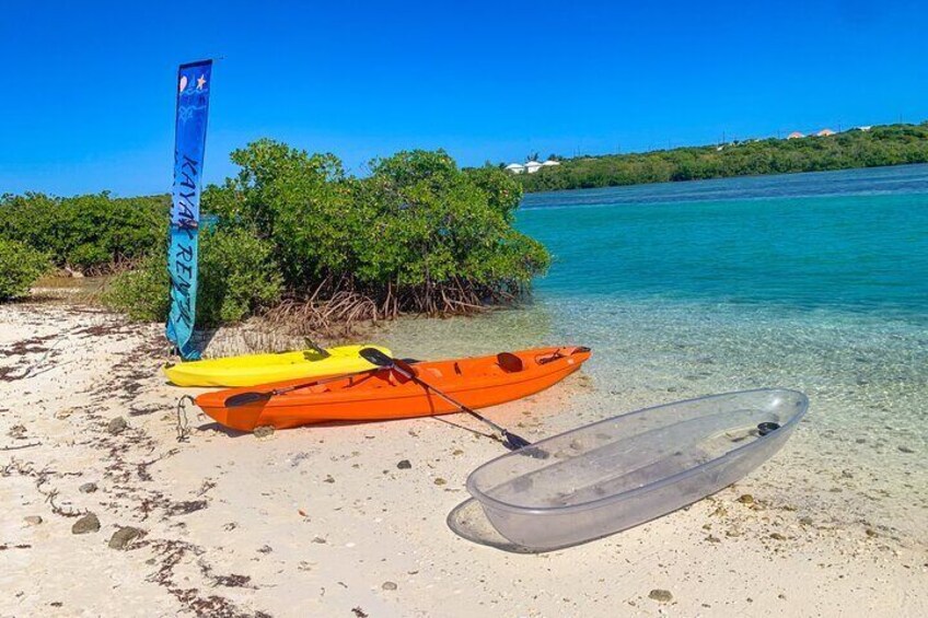  Kayak Mangrove Tours Grand Turk , Carnival Cruise