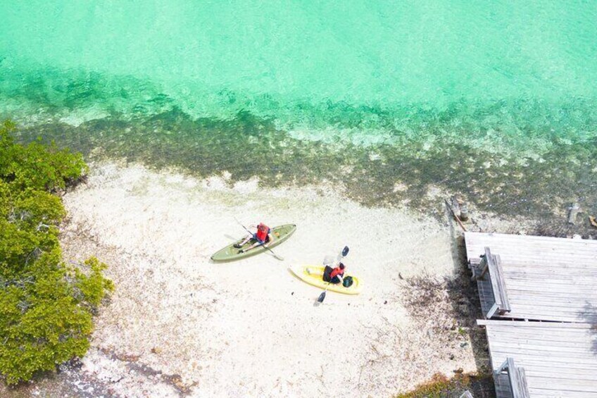  Kayak Mangrove Tours Grand Turk , Carnival Cruise