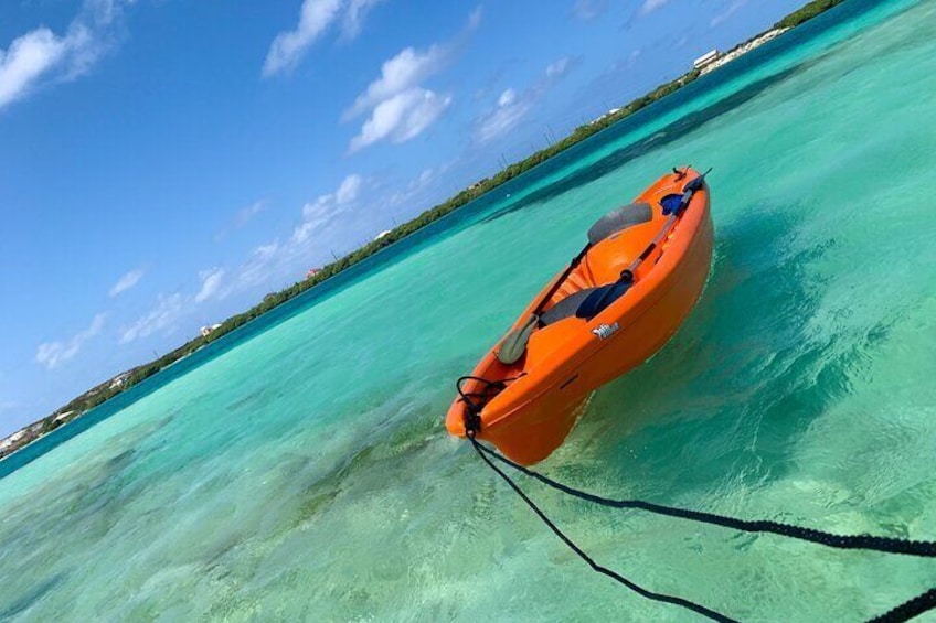 Grand Turk Island Kayak Tour of the mangroves