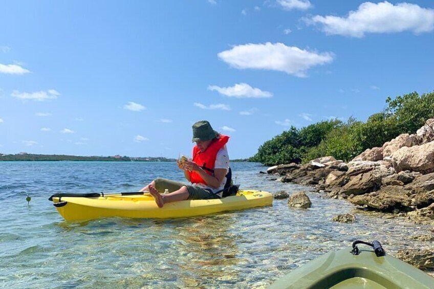  Kayak Mangrove Tours Grand Turk , Carnival Cruise