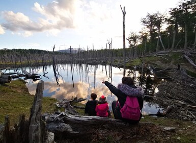 Ushuaia: Visita a los lagos Escondido y Fagnano por la tarde