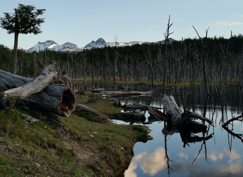 Picture 9 for Activity Ushuaia: Visit to Escondido and Fagnano Lakes PM