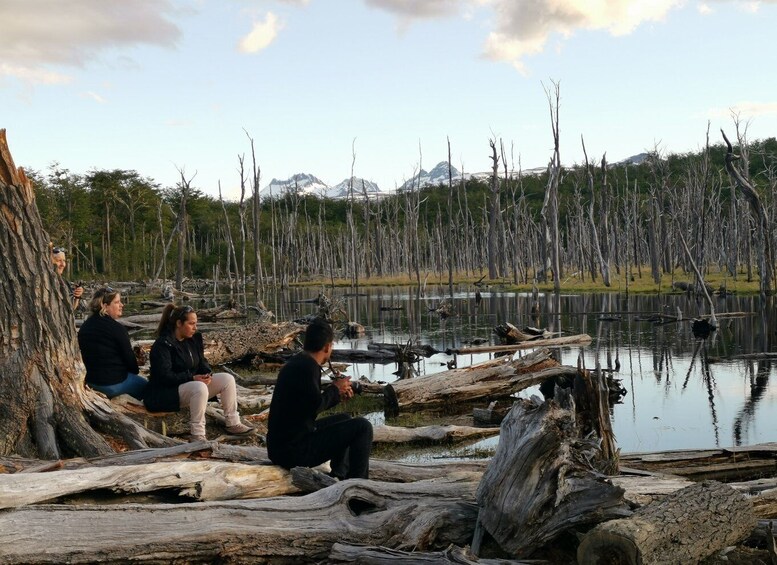 Picture 24 for Activity Ushuaia: Visit to Escondido and Fagnano Lakes PM