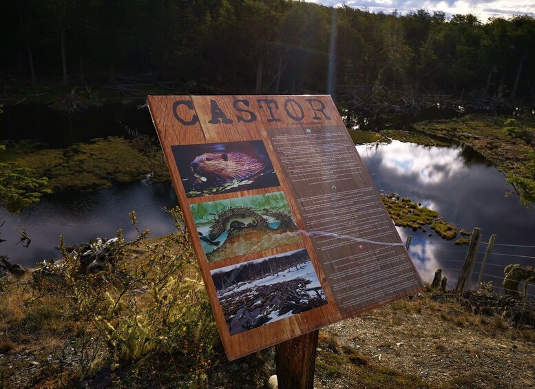 Picture 11 for Activity Ushuaia: Visit to Escondido and Fagnano Lakes PM