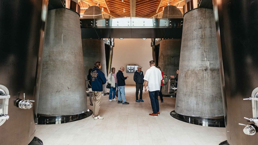 Bordeaux: St. Emilion Day Trip with Wine Tasting and Lunch