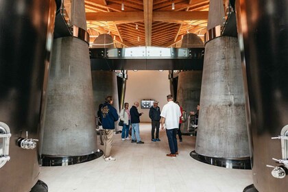 Bordeaux : excursion d'une journée à Saint-Émilion avec dégustation de vins...