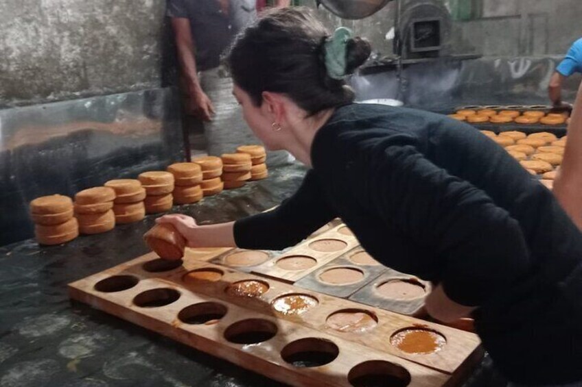 3 Day Private Tour Authentic Coffee Experience in Colombia